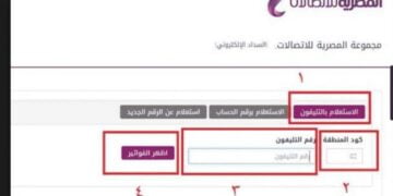 فاتورة التليفون الأرضي إبريل 2019 بالرقم على موقع المصرية للاتصالات WE دفع فاتورة تي آي داتا TEdata
