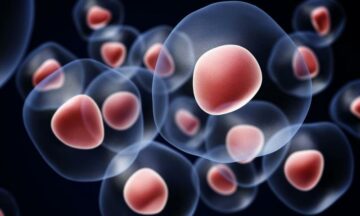الخلايا الجذعية للبشرة: فوائد تقنية حقن الخلايا الجذعية للبشرة، وما الفرق بين الخلايا الجذعية والبلازما للبشرة