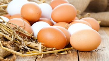 دراسة علمية تحذر إذا كنت ممن يتناولون البيض يوميًا فأكله بتلك الطريقة له أَضرار ومضاعفات خطيرة