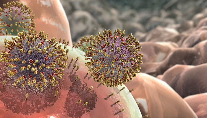 كيف تهاجم الفيروسات جسم الانسان ؟