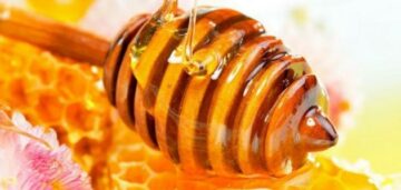 فوائد العسل الأبيض المتعددة للجسم وطريقة التعرف على النوع الطبيعي من المغشوش