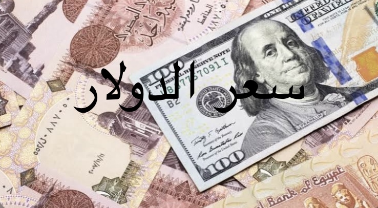 سعر ‏الدولار الأمريكي في مصر اليوم السبت 2022/11/12 مقابل الجنيه المصري