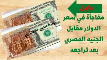الأخضر راجع لورا.. مفاجأة في سعر الدولار مقابل الجنيه المصري بعد تراجعه بقوة عالمياً