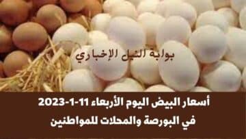 أسعار البيض اليوم الأربعاء 11-1-2023 في البورصة والمحلات للمواطنين في مختلف محافظات مصر