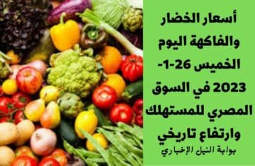 أسعار الخضار والفاكهة اليوم الخميس 26-1-2023 في السوق المصري للمستهلك وارتفاع تاريخي