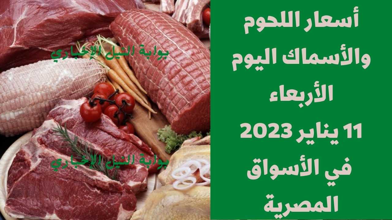 أسعار اللحوم والأسماك اليوم الأربعاء 11-1-2023 في الأسواق المصرية وسط مقاطعة من المواطنين