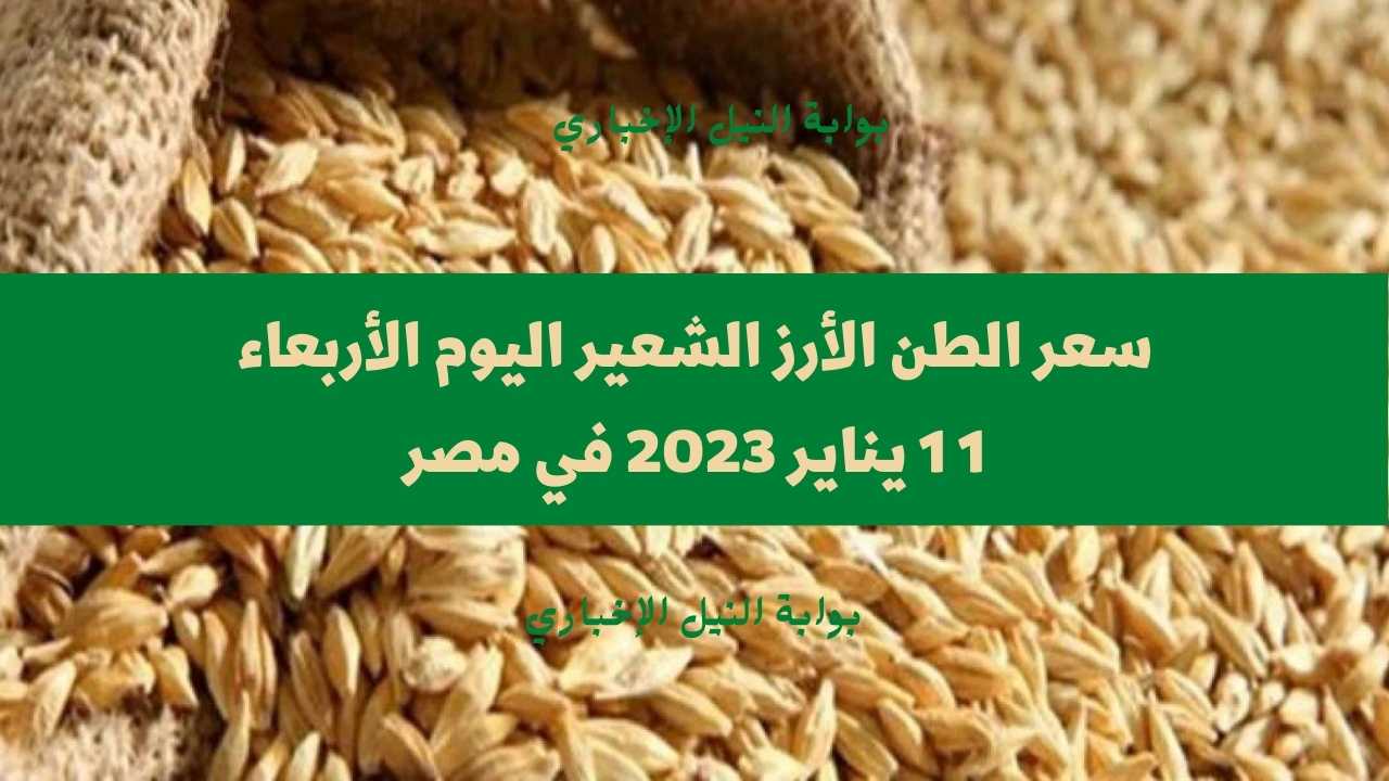 سعر الطن الأرز الشعير اليوم الأربعاء 11-1-2023 في السوق المصري وارتفاع جديد في سعر كيلو الأرز الأبيض