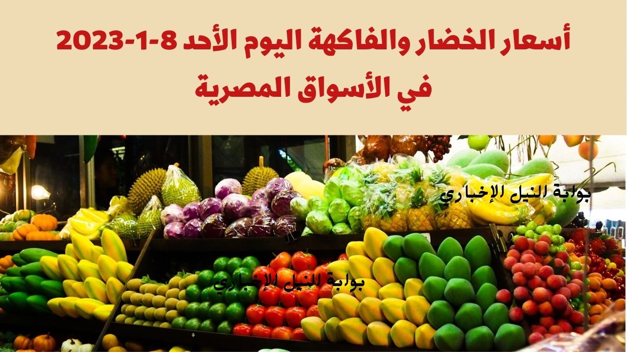 أسعار الخضار والفاكهة اليوم الأحد 8-1-2023 في الأسواق المصرية للمستهلك بالمحال التجارية
