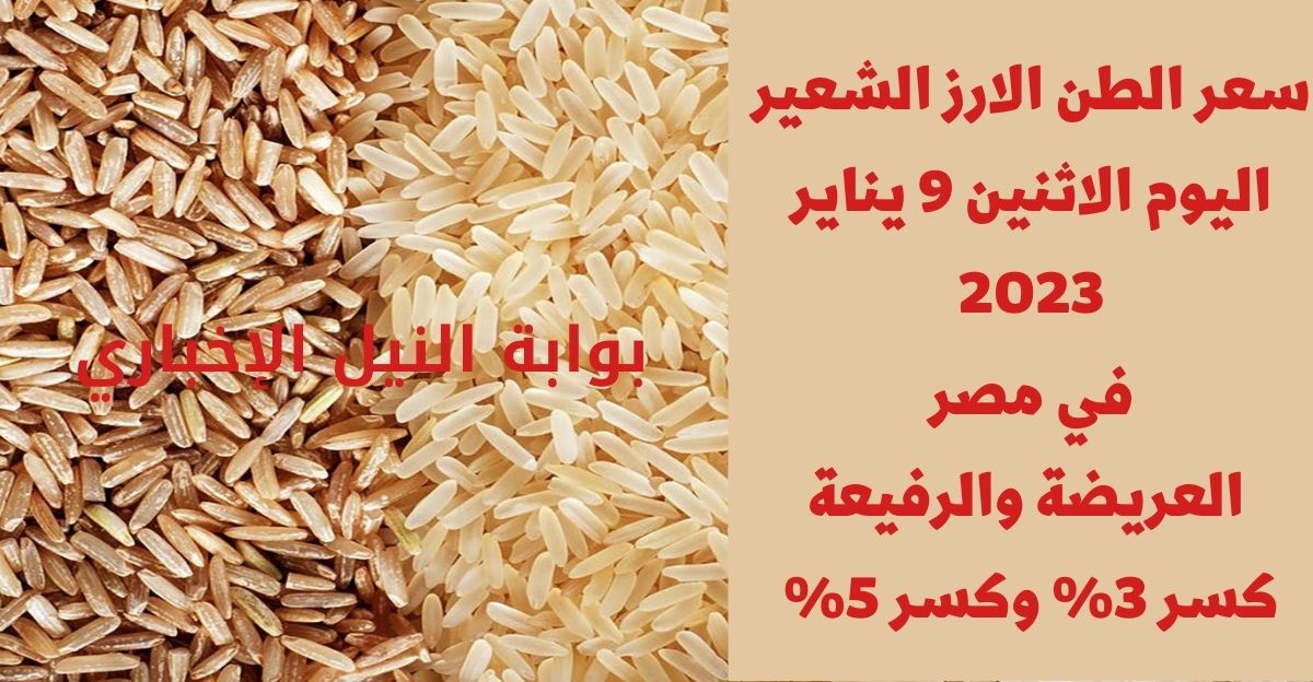 سعر الطن الارز الشعير اليوم الاثنين 9 يناير 2023 في مصر الحبة العريضة والرفيعة كسر 3% وكسر 5%