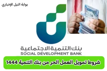 كيفية تقديم طلب تمويل العمل الحر في بنك التنمية الاجتماعية وأهم الشروط للحصول على القرض