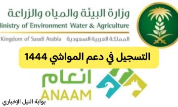 رابط التسجيل في دعم المواشي عبر وزارة الزراعة السعودية 1444 والشروط المطلوبة وطريقة الاستعلام