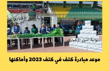 بشرى للمصريين موعد مبادرة كتف في كتف 2023 وأماكنها لتوزيع كراتين غذائية قبل حلول رمضان